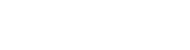 strapi-logo